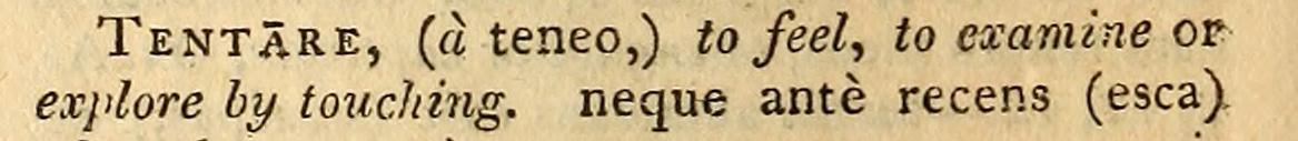 Wörterbucheintrag »Tentare (a tenso)«