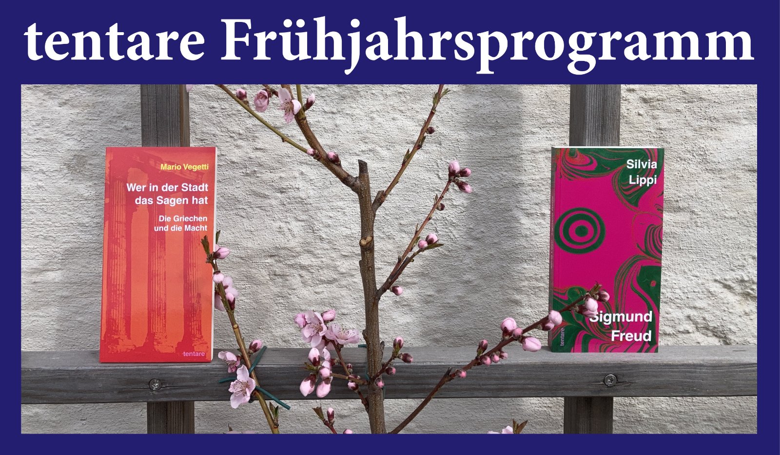 Neuerscheinungen Frühjahr 2026